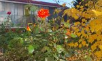 Фотография объекта