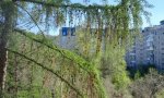 Фотография объекта