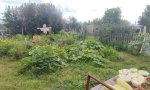 Фотография объекта