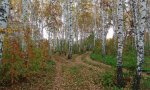 Фотография объекта