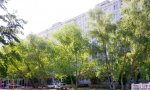 Фотография объекта